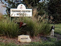 Ivanhoe Country Kennels welcomes you
