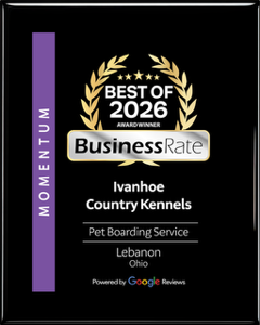 Ivanhoe-Country-Kennels-Best-of-2026